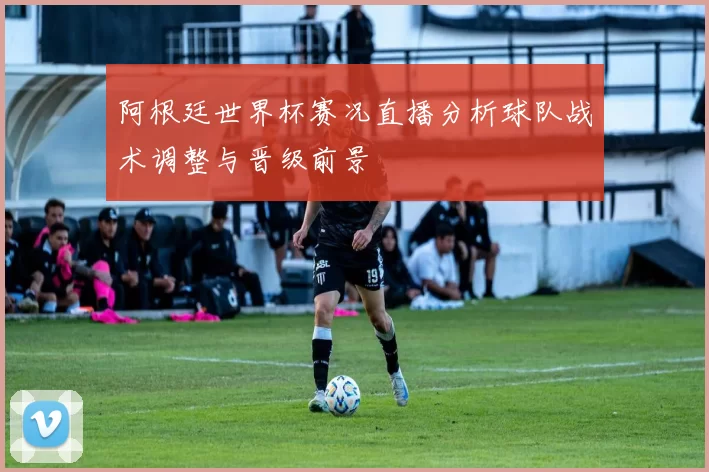 阿根廷世界杯赛况直播分析球队战术调整与晋级前景